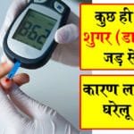 शुगर (डायबिटीज) को जड़ से खत्म करने के लिए घरेलू उपाय 2025