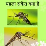 डेंगू बुखार का शुरुआती लक्षण क्या है? (2025)