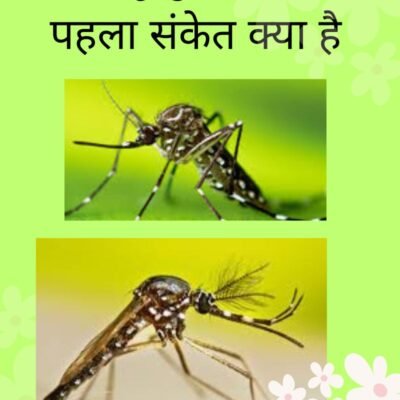 डेंगू बुखार का शुरुआती लक्षण क्या है? (2025)