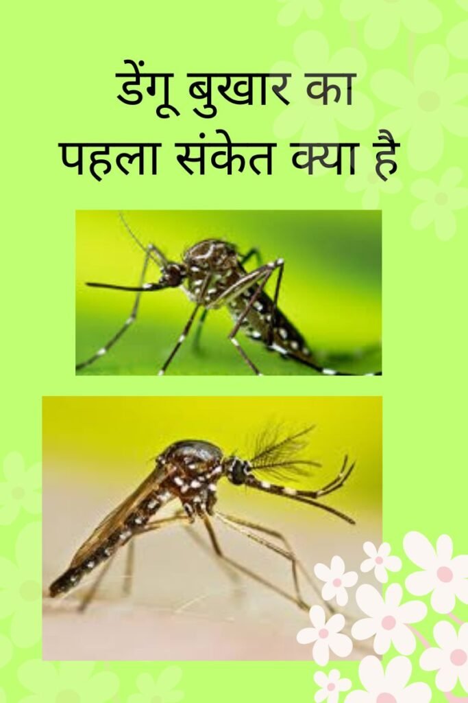 डेंगू बुखार का शुरुआती लक्षण क्या है? (2025)