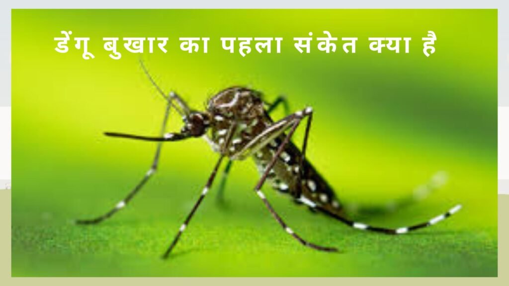 डेंगू बुखार का शुरुआती लक्षण
