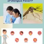 What is the First Symptom of Dengue Fever?