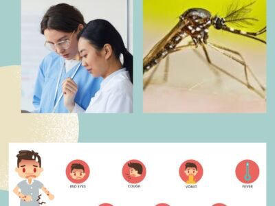 What is the First Symptom of Dengue Fever?