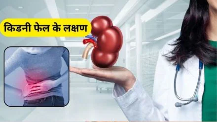 किडनी फेल होने का सबसे बड़ा कारण क्या है? 2025