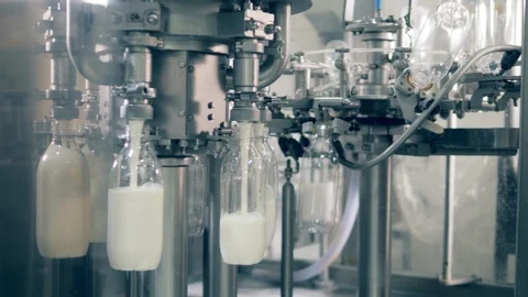 How Pasteurization Works: Step-by-Step Infographic