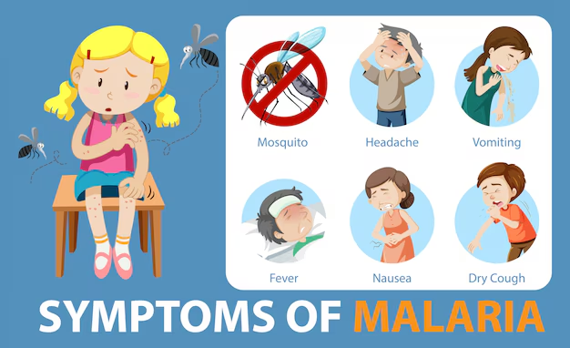 What is Dengue Fever?