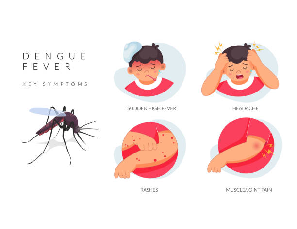 Severe Dengue (Dengue Hemorrhagic Fever) Symptoms: