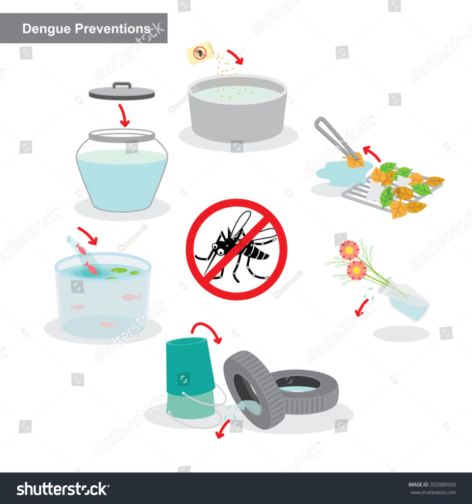 Prevention of Dengue Fever