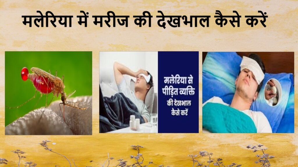मलेरिया में मरीज की देखभाल कैसे करें