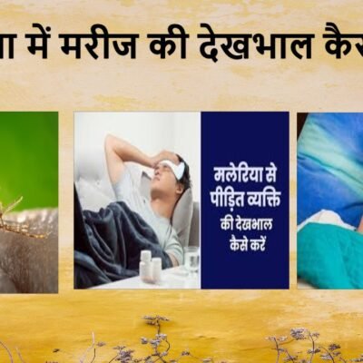 मलेरिया में मरीज की देखभाल कैसे करें