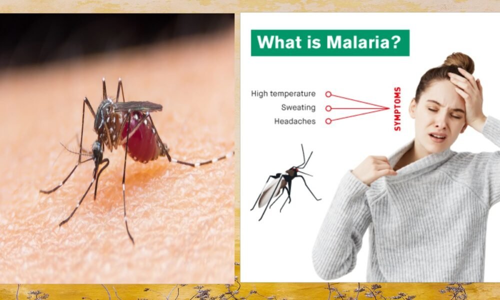 What is Malaria Fever?