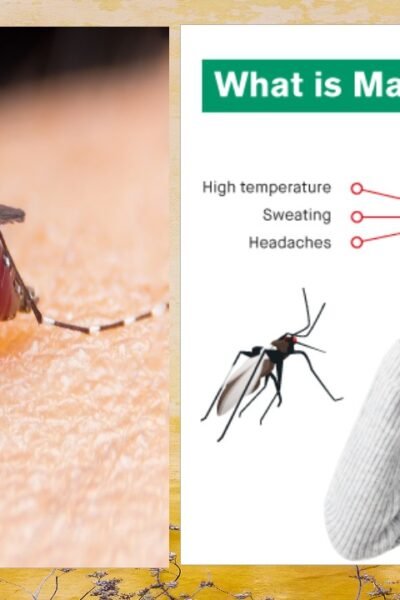 What is Malaria Fever?